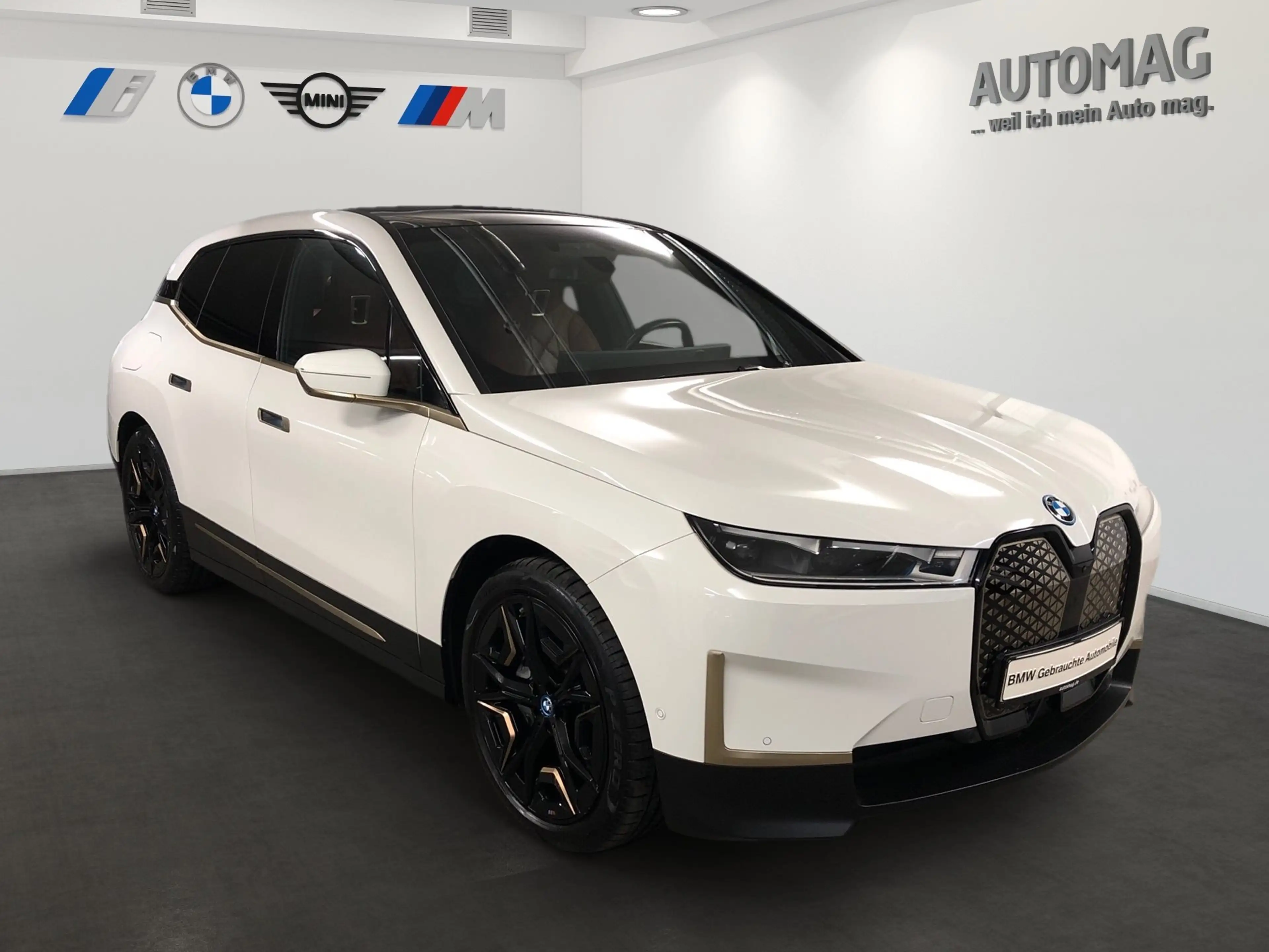 BMW iX xDrive40 AHK*Laser*DrivingAssistProf*SkyLounge*Sui — photo 2