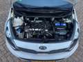 Kia Rio 1.2 CVVT Plus Pack|Origineel Nederlands|Erg mooie Wit - thumbnail 14