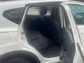 Nissan Qashqai 1.5 dCi DPF 360 Bianco - thumbnail 12