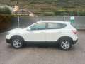 Nissan Qashqai 1.5 dCi DPF 360 Bianco - thumbnail 7