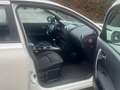 Nissan Qashqai 1.5 dCi DPF 360 Bianco - thumbnail 13