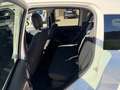 Fiat Panda Panda Cross 1.0 FireFly S&S Hybrid Wit - thumbnail 6
