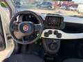 Fiat Panda Panda Cross 1.0 FireFly S&S Hybrid Wit - thumbnail 7