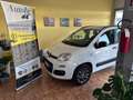Fiat Panda Panda 0.9 TwinAir Turbo Natural Power Lounge Weiß - thumbnail 3