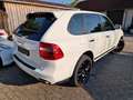 Porsche Cayenne CAYENNE S "SEHR GEPFLEGT"21ZOLL,SERVICE&TÜV NEU Blanc - thumbnail 4