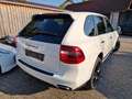 Porsche Cayenne CAYENNE S "SEHR GEPFLEGT"21ZOLL,SERVICE&TÜV NEU Blanc - thumbnail 5