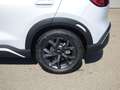 BYD Atto 2 Atto2 64,8 kWh Comfort Österreich Paket Vorbest... Grün - thumbnail 5