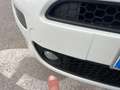 Fiat Punto 1.3 MJT II S&S 95 CV 5 porte Street White - thumbnail 13