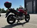 Suzuki Inazuma 250 - thumbnail 4