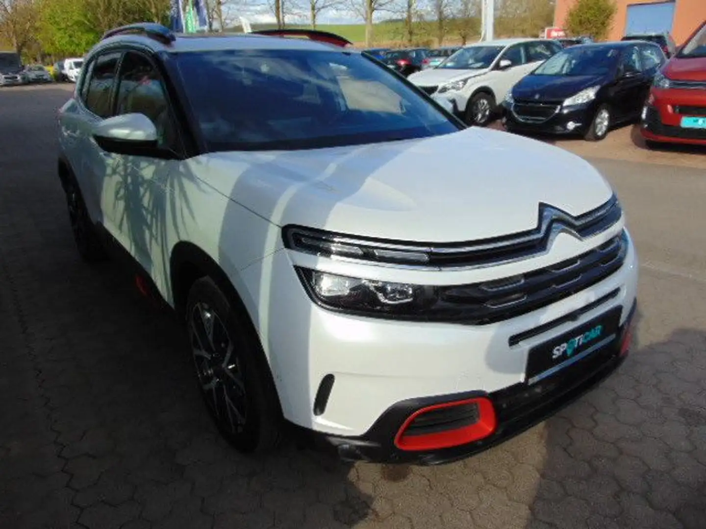 Citroen C5 Aircross Shine Blanc - 2
