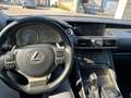 Lexus IS 300 300h Business Gris - thumbnail 6