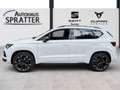 CUPRA Ateca 2.0 TSI DSG 4Drive NAVI ACC AHK LED Kamera Weiß - thumbnail 15