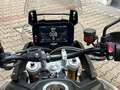 Triumph Tiger 900 Зелений - thumbnail 9