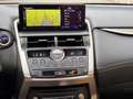 Lexus NX 300h Luxury NX 300h HEV Schwarz - thumbnail 15