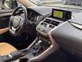 Lexus NX 300h Luxury NX 300h HEV Schwarz - thumbnail 20