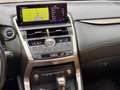 Lexus NX 300h Luxury NX 300h HEV Schwarz - thumbnail 16