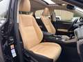 Lexus NX 300h Luxury NX 300h HEV Schwarz - thumbnail 21