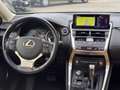 Lexus NX 300h Luxury NX 300h HEV Schwarz - thumbnail 14