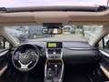 Lexus NX 300h Luxury NX 300h HEV Schwarz - thumbnail 13