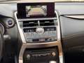 Lexus NX 300h Luxury NX 300h HEV Schwarz - thumbnail 18