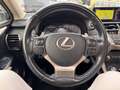 Lexus NX 300h Luxury NX 300h HEV Schwarz - thumbnail 10