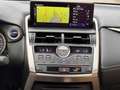 Lexus NX 300h Luxury NX 300h HEV Schwarz - thumbnail 17