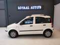 Fiat Panda 1.2 Edizione Cool | AIRCO | ELEK.RAMEN | NAP | APK Bianco - thumbnail 6