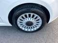Fiat 500 1.2 Lounge 69cv tetto panorama Bianco - thumbnail 15