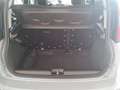 Fiat Panda Panda Cross 1.0 FireFly S&S Hybrid Grigio - thumbnail 12