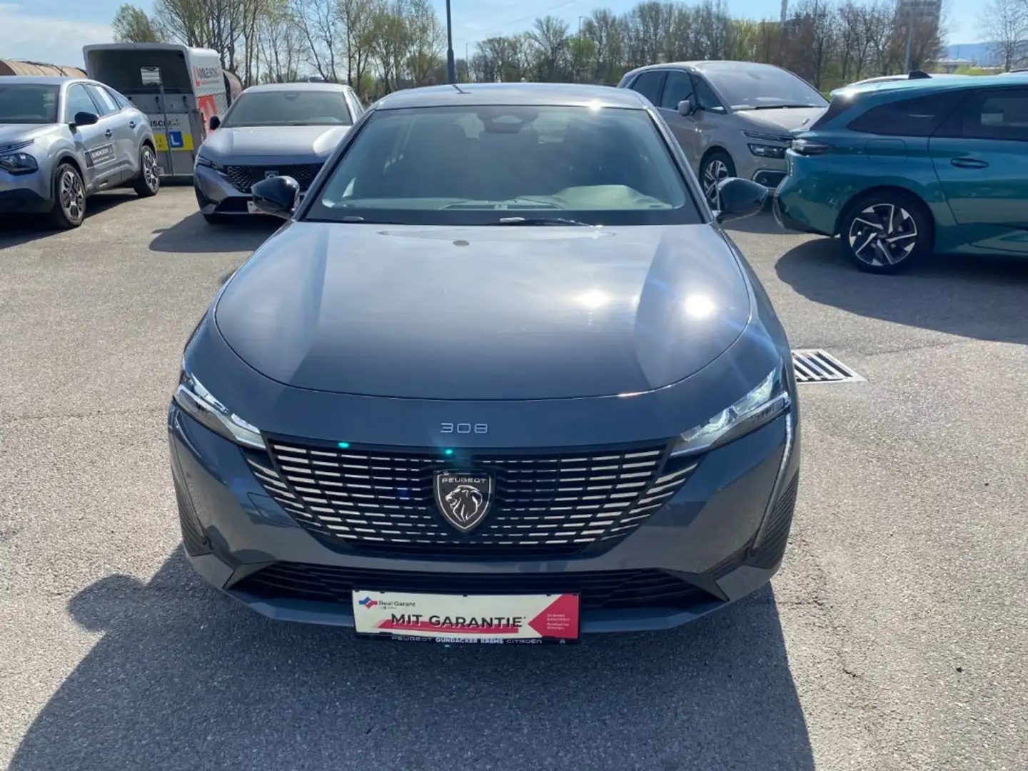Peugeot 308 Allure Grau - 2