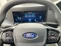 Ford Transit Custom Trend 2.0 EcoBlue TEMP PDC KAM Gris - thumbnail 12