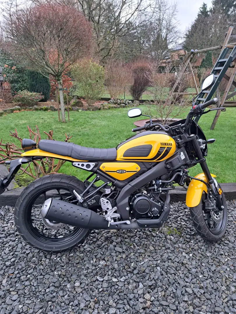 Yamaha XSR 125 Żółty - 1