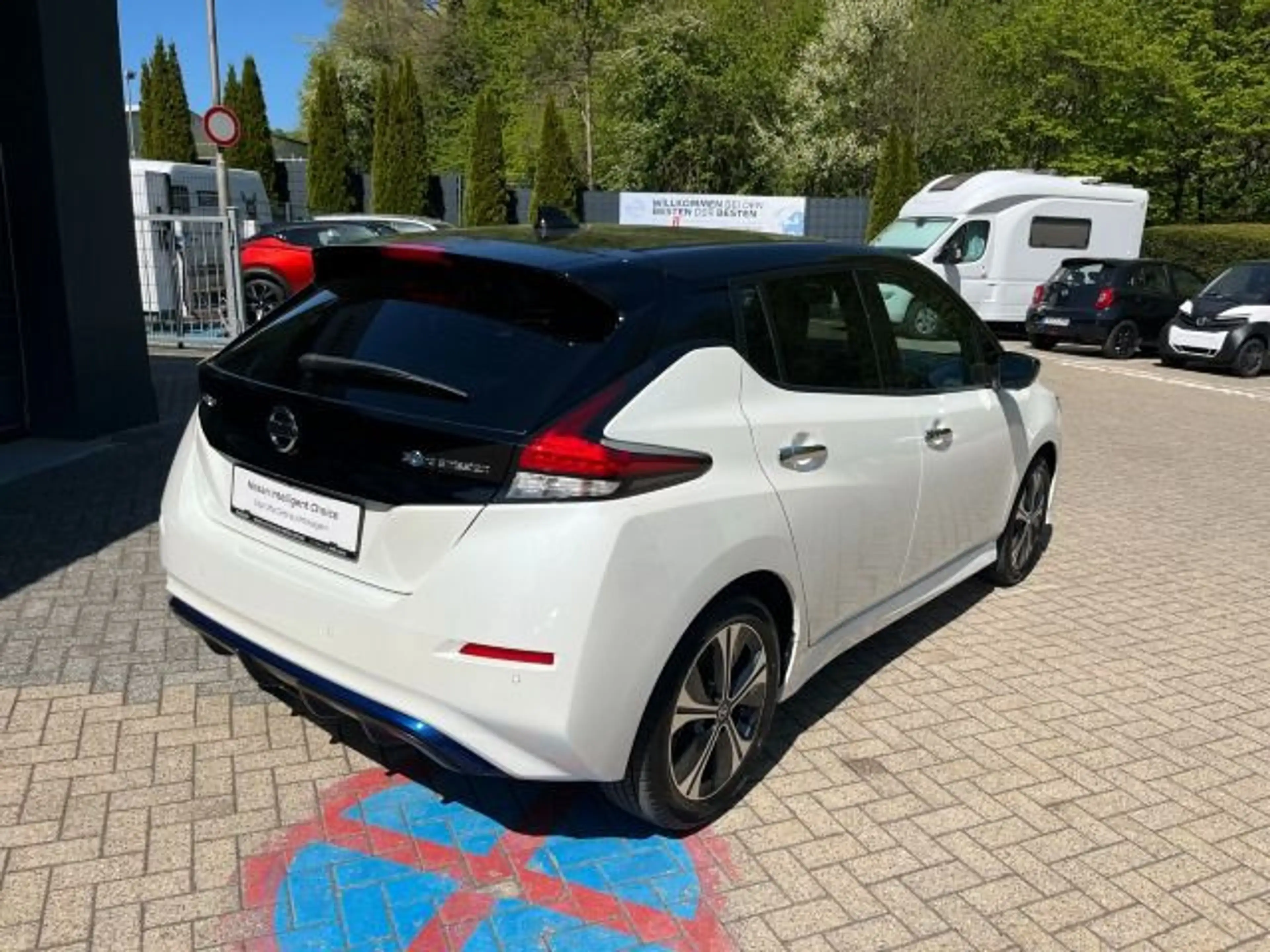 Nissan Leaf e+ 62 kWh Tekna Navi AVM BOSE Leder LED SH — photo 8