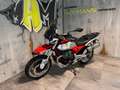 Moto Guzzi V 85 Neufahrzeug Aktion plus 2 Jahre Anschlussgarantie Rouge - thumbnail 3