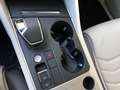 Volkswagen Touareg 4Motion V6 TDI Plateado - thumbnail 15