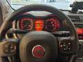 Fiat Panda 1.0 FireFly S&S Hybrid City Life Grigio - thumbnail 13