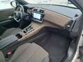 DS Automobiles DS 7 Crossback BlueHDi 130 aut. - 25.000 KM - MINI RATA 4 ANNI Grijs - thumbnail 26
