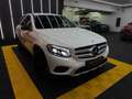 Mercedes-Benz GLC 220 GLC 220 d 4MATIC | AHK | TEMPOMAT | SITZHEIZUNG V. Weiß - thumbnail 6