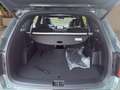 Kia Sorento 2.2 Platinum AWD 6S AHK Glasdach Zelená - thumbnail 14