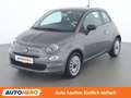 Fiat 500 1.0 Mild-Hybrid Grau - thumbnail 1