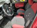 Fiat New Panda 1.2 EasyPower Lounge Rosso - thumbnail 7