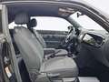 Volkswagen Beetle Käfer Klima SHZ Navi Inspektion Neu Schwarz - thumbnail 17