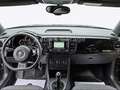 Volkswagen Beetle Käfer Klima SHZ Navi Inspektion Neu Schwarz - thumbnail 14