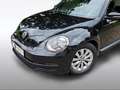 Volkswagen Beetle Käfer Klima SHZ Navi Inspektion Neu Schwarz - thumbnail 26