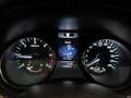 Nissan X-Trail 2.0 dCi 4WD Tekna 10 ANNI GARANTITA Grigio - thumbnail 12
