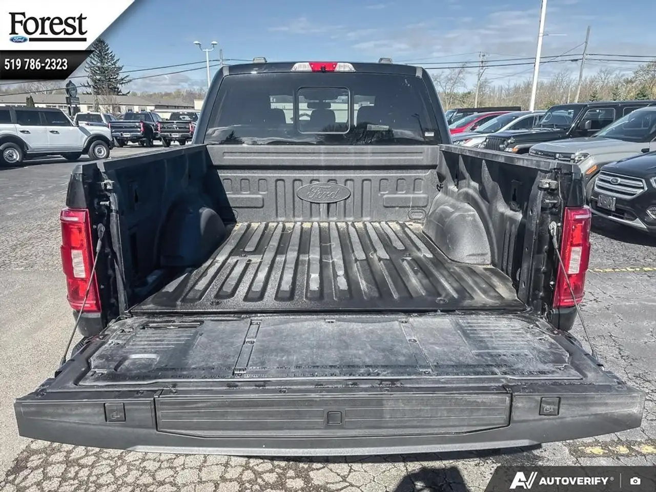 Ford F 150 снимка Ford F 150