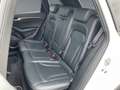 Audi SQ5 3.0 V6 BiTDI 313ch quattro Tiptronic Weiß - thumbnail 12