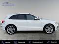 Audi SQ5 3.0 V6 BiTDI 313ch quattro Tiptronic Blanc - thumbnail 3