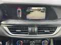 Alfa Romeo Stelvio Stelvio 2.2 Turbodiesel 190 CV AT8 Q4 Ti Blue - thumbnail 14