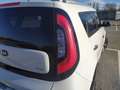 Kia Soul Limited 1.6 CRDi Weiß - thumbnail 18